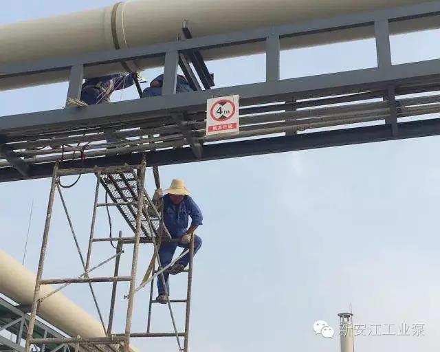 五星酒店不換床單，還有什么服務讓人放心