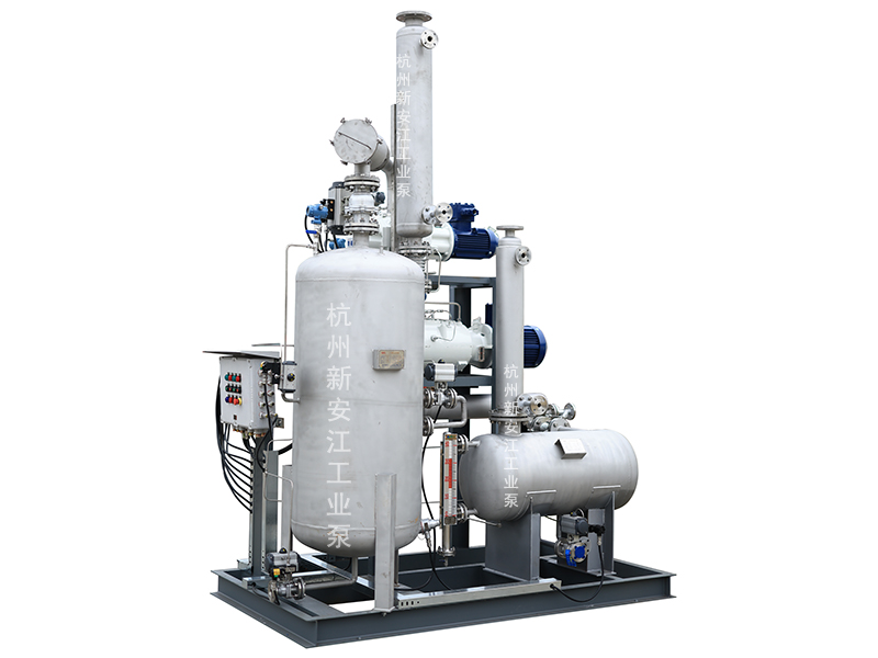 集成化羅茨螺桿真空系統(tǒng)，高效穩(wěn)定，勝任復(fù)雜苛刻工藝-杭州新安江工業(yè)泵有限公司