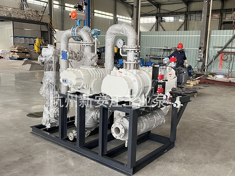 干式螺桿真空泵-杭州新安江工業(yè)泵有限公司 (2) 干式螺桿真空泵-杭州新安江工業(yè)泵有限公司 (2)