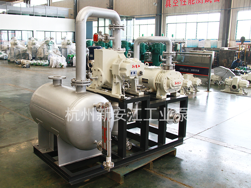 干式螺桿真空泵-杭州新安江工業(yè)泵有限公司 (3)